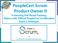 Scrum Product owner II